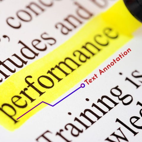 Labeling and Data Annotation Services - AnnotationBox