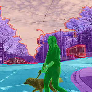 Polygon Annotation Services | #1 Object Identification