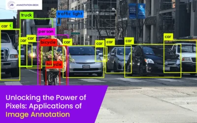 Unlocking the Power of Pixels: Applications of Image Annotation