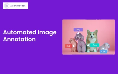 Automated Image Annotation: Bridging the Gap with Auto Image Annotation Tools