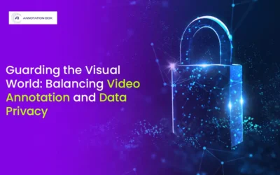 Guarding the Visual World: Balancing Video Annotation and Data Privacy