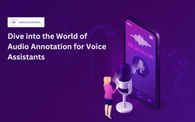 From Hum to Harmony: Unearthing the Secrets of Audio Annotation in Voice Tech
