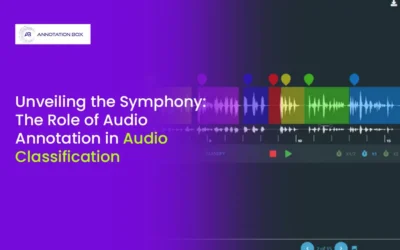 Unveiling the Symphony: The Role of Audio Annotation in Audio Classification
