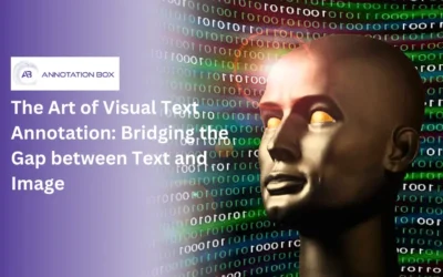 The Art of Visual Text Annotation: Bridging the Gap between Text and Image
