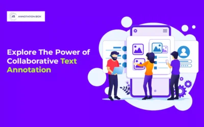 Explore The Power of Collaborative Text Annotation