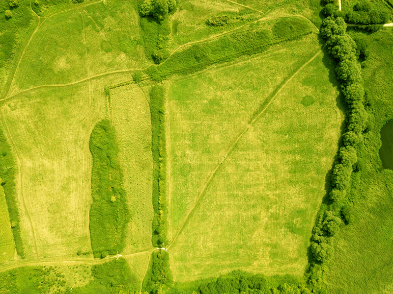 Satellite images for farmers to monitor crop health, detect early signs of disease, manage irrigation efficiently.<br />
