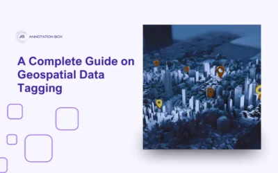 A Complete Guide On Geospatial Data Tagging