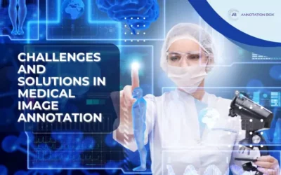 Challenges and Solutions in Medical Image Annotation