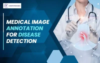 Medical Image Annotation For Disease Detection