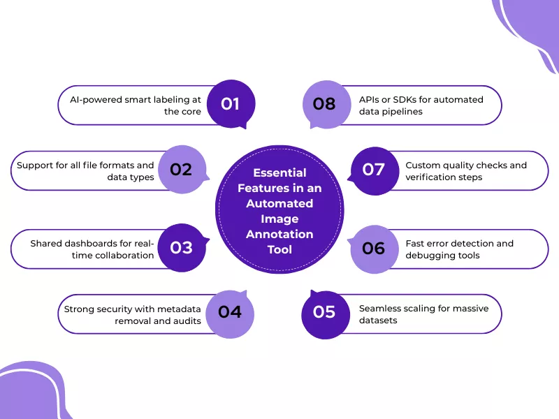 Comparing Manual vs Automated Image Annotation Methods