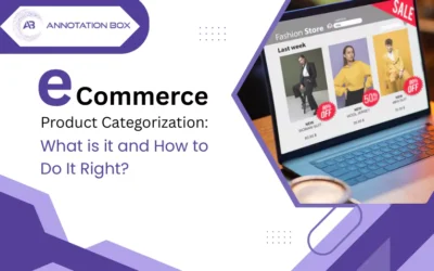 eCommerce Product Categorization – Everything You Need to Know