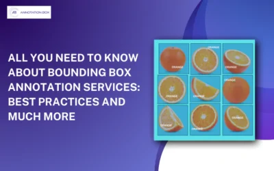 All You Need To Know About Bounding Box Annotation Services: Best Practices And Much More