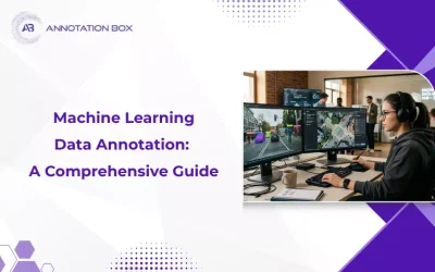 Machine Learning Data Annotation: A Comprehensive Guide