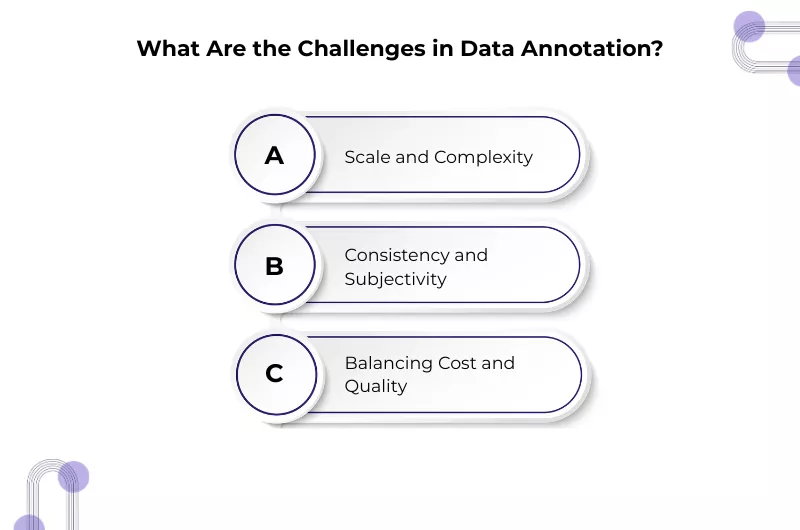 Machine Learning Data Annotation Guide: Types, Tools & Best Practices