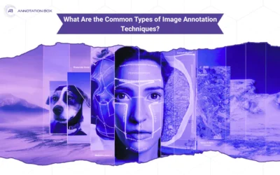 What Are the Common Types of Image Annotation Techniques?