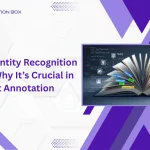 Illustration showing the role of Named Entity Recognition in text annotation and data labeling.