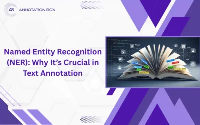 Named Entity Recognition (NER): Why It’s Crucial in Text Annotation