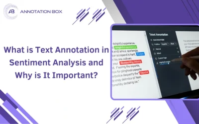 What Is Text Annotation in Sentiment Analysis and Why Is It Important?