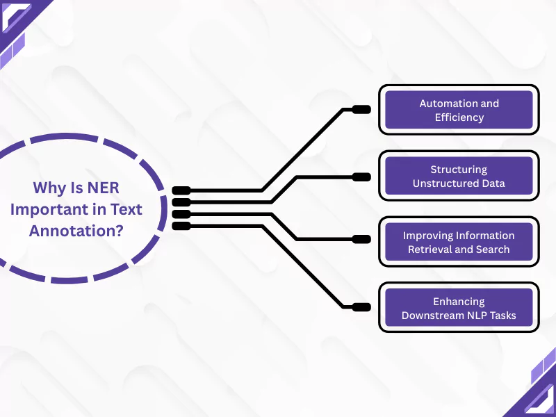 Diagram explaining why Named Entity Recognition is important in text annotation processes.<br />
