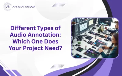 Different Types of Audio Annotation: Which One Does Your Project Need?