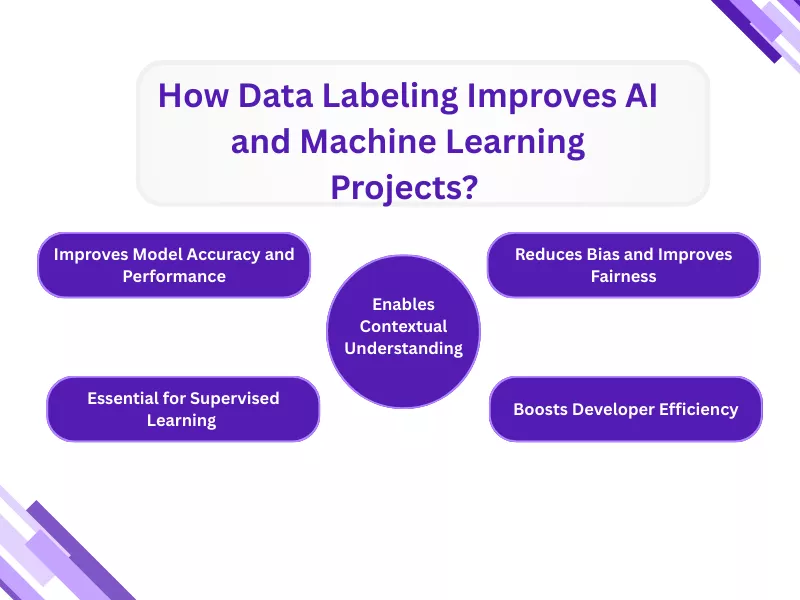 Infographic explaining how Data Labeling in Modern AI and ML Projects enhances accuracy and fairness.