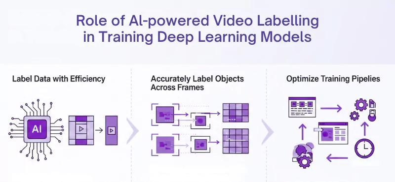 This image shows the role of AI-powered video annotation in training a deep learning model 