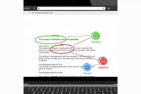 Example of text annotation services highlighting positive, negative, and neutral sentiments. Example of text annotation services highlighting positive, negative, and neutral sentiments.<br />