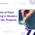Image showing a professional illustrating Data Labeling in Modern AI and ML Projects for accurate model training.