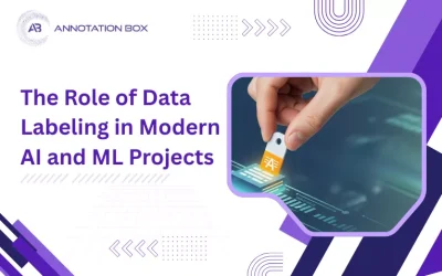 The Role of Data Labeling in Modern AI and ML Projects