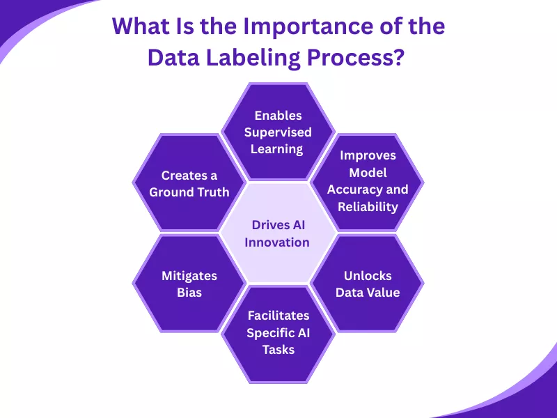 Infographic showing the importance of Data Labeling in Modern AI and ML Projects for model accuracy.