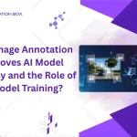 How image annotation boosts AI model accuracy and training – Annotation Box illustration of labeled data and computer vision