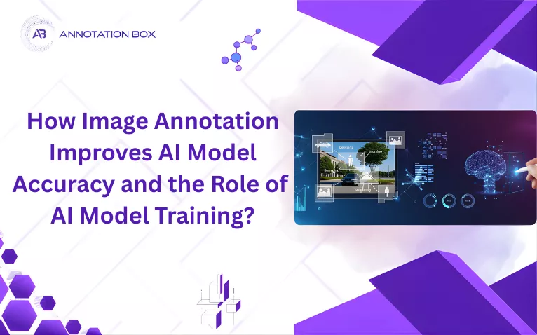 How Image Annotation Improves AI Model Accuracy and the Role of AI Model Training?
