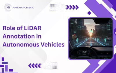 Role of LiDAR Annotation in Autonomous Vehicles
