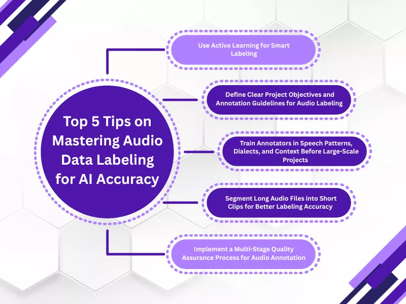 This image shows top tips for Audio Data Labeling for AI Accuracy that you can use<br />
