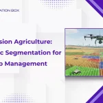 Precision agriculture: Semantic segmentation for crop management