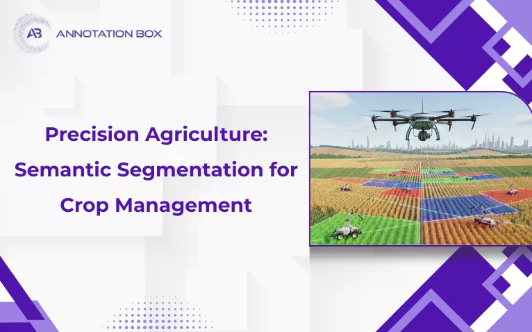 Precision agriculture: Semantic segmentation for crop management