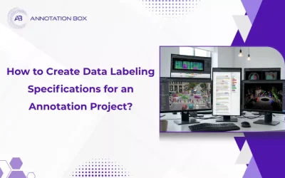 How to Create Data Labeling Specifications for an Annotation Project?