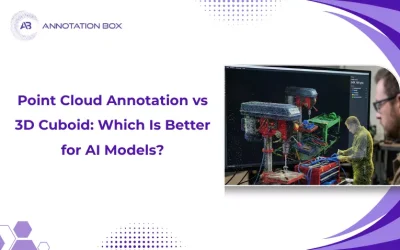 Point Cloud Annotation vs 3D Cuboid: Which Is Better for AI Models?
