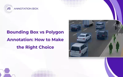 Bounding Box vs Polygon Annotation: How to Make the Right Choice