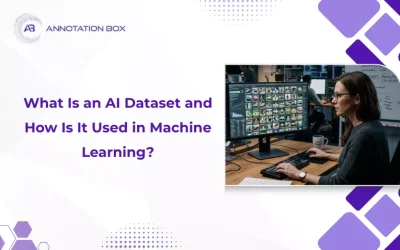 What Is an AI Dataset and How Is It Used in Machine Learning?