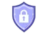 Enterprise Security
