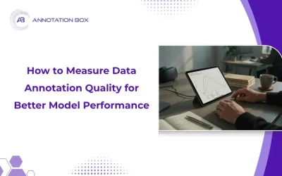 How to Measure Data Annotation Quality for Better Model Performance